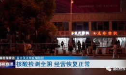 爆料湘乡网红视频大全最新,揭秘最新爆料视频大全