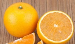 廉江今日爆料最新消息新闻,聚焦突发事件，揭秘背后真相