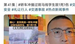 爆料被撞博主视频大全最新,被撞博主视频大全，还原事故现场真相