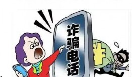 青岛诈骗爆料最新消息视频,揭秘视频揭露惊人内幕